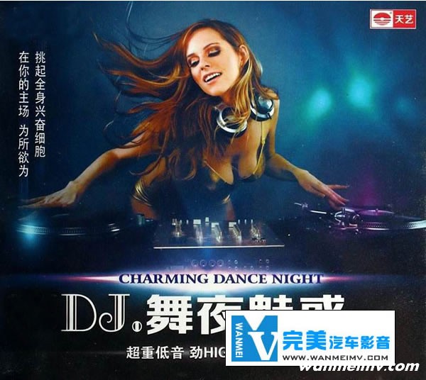 无损音乐 DJ舞曲-试机人声舞曲 DJ试音典范 DJ舞夜魅惑 WAV分轨(1)