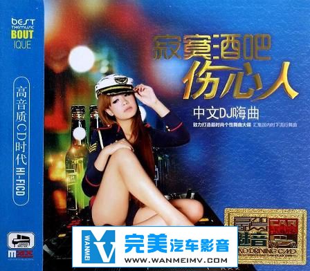 无损音乐 DJ舞曲-群星《寂寞酒吧伤心人中文DJ嗨曲》WAV/CUE百度(1)