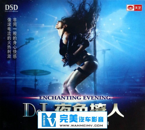 无损音乐 DJ舞曲-群星-[DJ夜色撩人][WAV+CUE][BD]最嗨节奏 百分百热血沸腾(1)