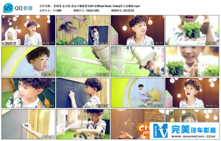 华语高清MV下载-金文皓 - 是金子总会发光[百度网盘/MP4/111M](1)