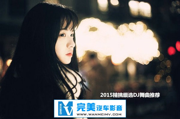无损音乐 DJ舞曲-精选最嗨好听中文DJ舞曲《2015精挑细选DJ舞曲》2CD 【WAV/百度】(1)