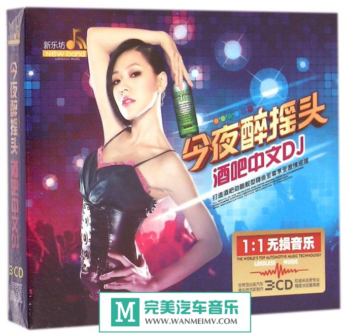 无损音乐 DJ舞曲-群星《今夜醉摇头酒吧中文DJ》[WAV+CUE/百度](1)