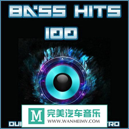 320K MP3 DJ舞曲-VA《100 Bass Hits》2015/MP3/BD(1)