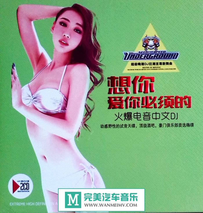 无损音乐 DJ舞曲-群星《想你爱你必须的 火爆电音中文DJ》2015/WAV百度/分轨(1)