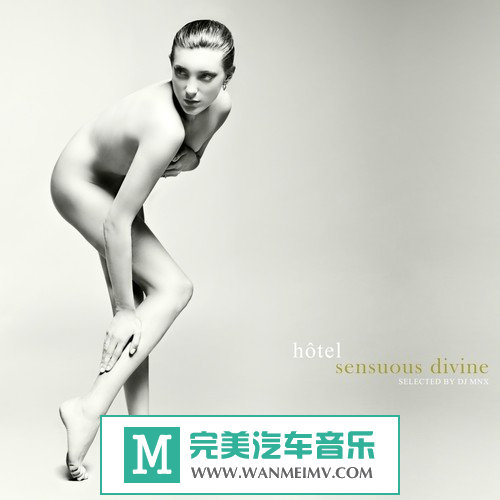 320K MP3 DJ舞曲-VA《Title Of Album: Hotel Sensuous Divine Selected By DJ MNX》2014/MP3/BD(1)