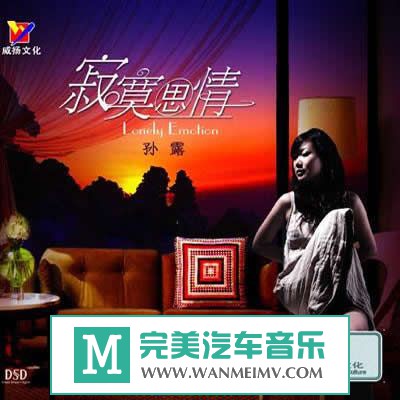 试音无损专辑下载-孙露全集之五《寂寞思情》WAV/整轨/百度云(1)