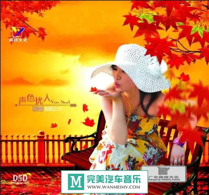 试音无损专辑下载-孙露全集之六《声色扰人》WAV/整轨/百度云(1)
