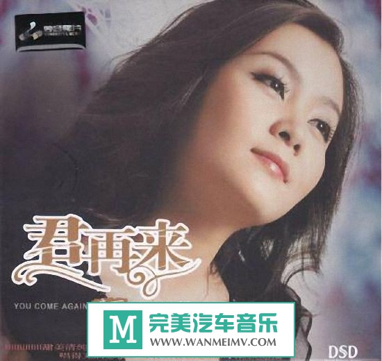 试音无损专辑下载-童丽 2013最新专辑《君再来Ⅵ》WAV/整轨/百度云(1)