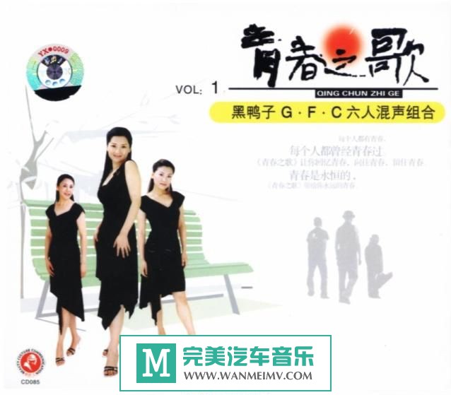 试音无损专辑下载-黑鸭子合辑之十九《伴你二十年-09》FLAC/整轨/百度云(1)