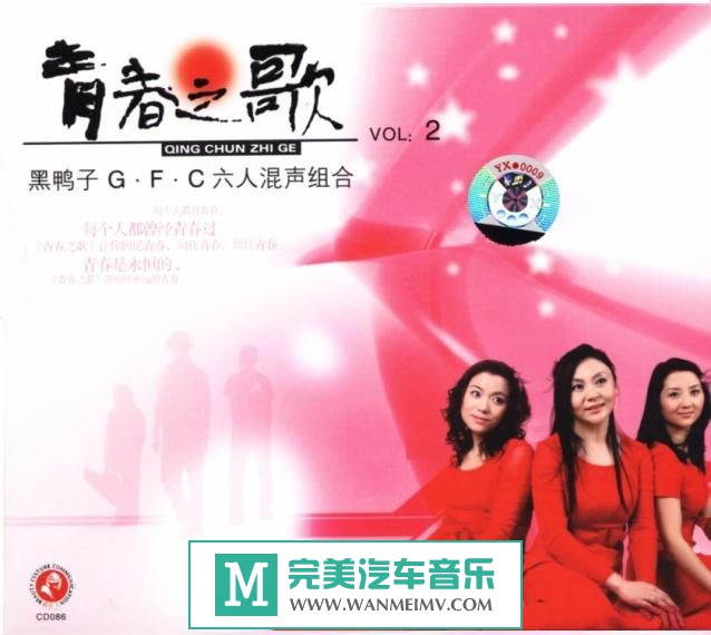 试音无损专辑下载-黑鸭子合辑之二十《伴你二十年-10》FLAC/整轨/百度云(1)