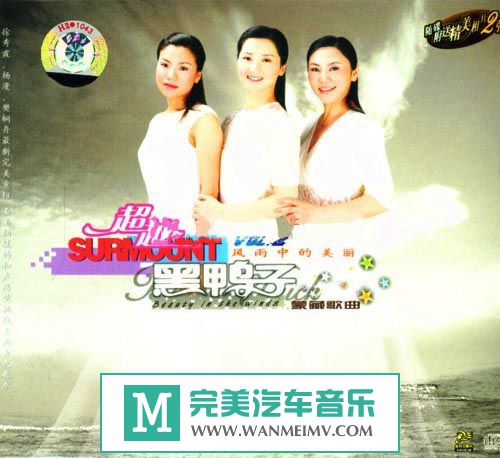 试音无损专辑下载-黑鸭子合辑之二十二《超越2 风雨中的美丽》FLAC/整轨/百度云(1)