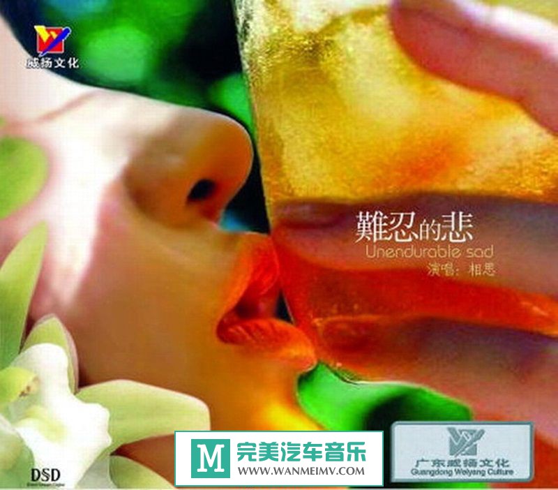 试音无损专辑下载-相思（雷婷）《难忍的悲 DSD（首版）》WAV+CUE/百度(1)