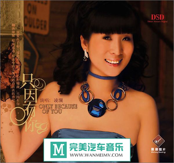 试音无损专辑下载-凌澜《只因有你 DSD》WAV+CUE/百度(1)