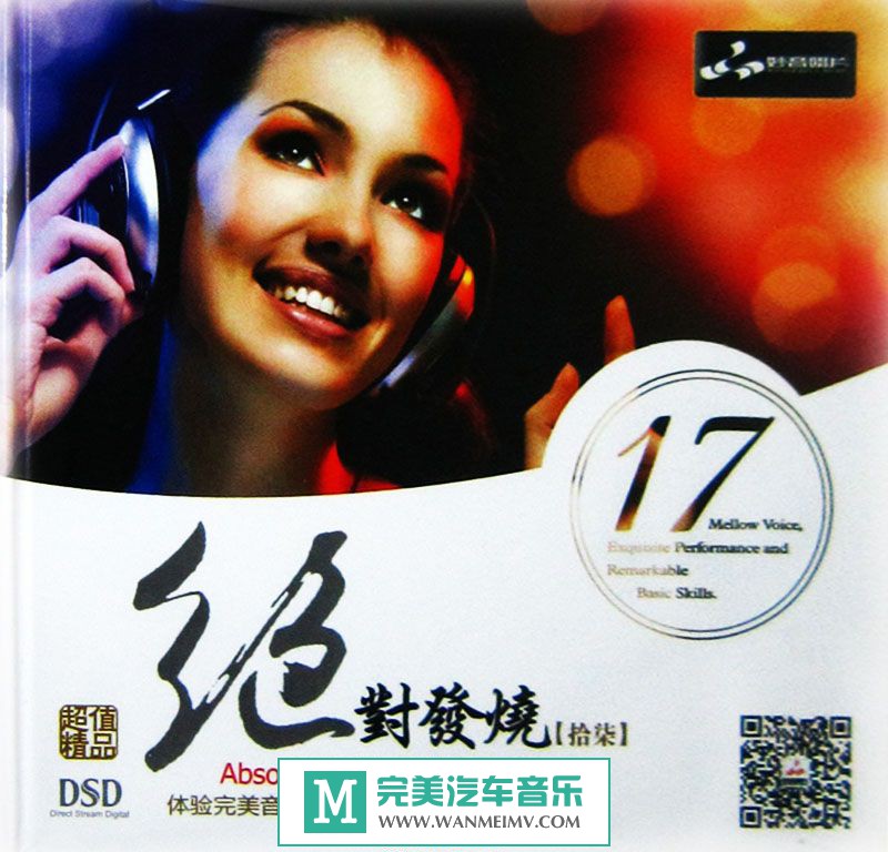 试音无损专辑下载-群星《绝对发烧17 》WAV+CUE/百度(1)