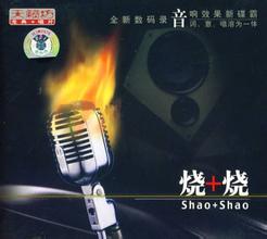 试音无损专辑下载-龙典唱片《烧＋烧》WAV/分轨/百度(1)