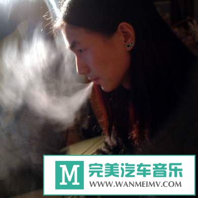 金属摇滚专辑下载-阴暗旋律金属:王三溥《3张专辑》FLAC/整轨/百度云盘(1)