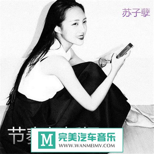 无损音乐 DJ舞曲-苏子孽《节奏很摇摆》2015电音精选集[FLAC/无损/EP/BD](1)