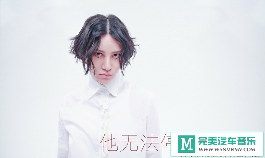 华语高清MV下载-尚雯婕+左小祖咒 - 罗曼蒂克消亡史（1080P/MP4/80M）(1)