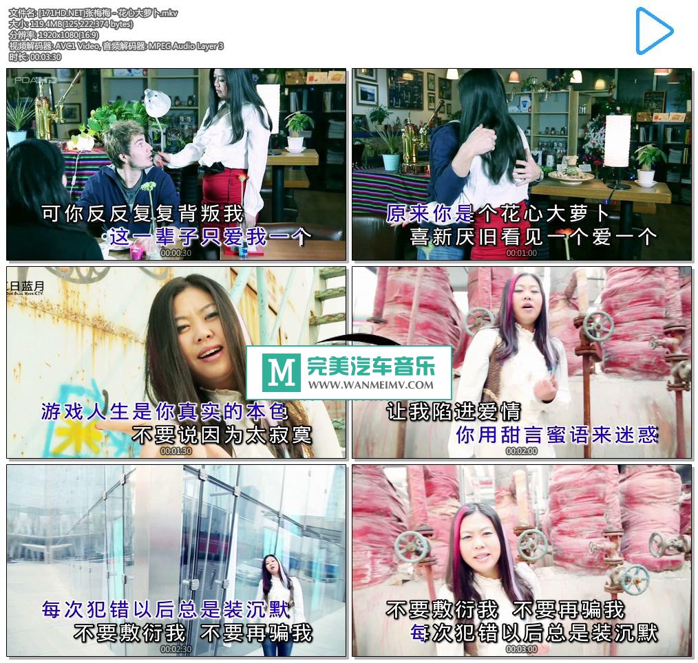 华语高清MV下载-[百度]张梅梅 - 花心大萝卜[119M/MKV](1)