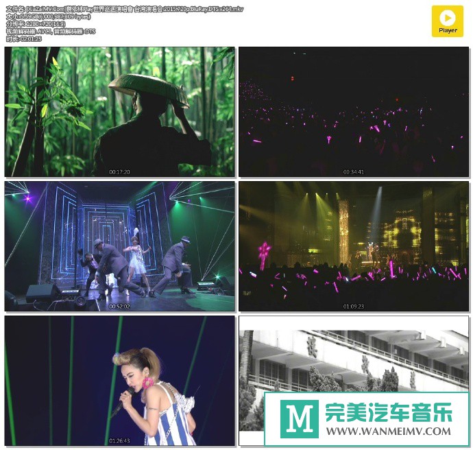 华语高清现场下载-[百度]蔡依林Play世界巡迴演唱會 台湾演唱会.2015[5.6G/MKV](1)