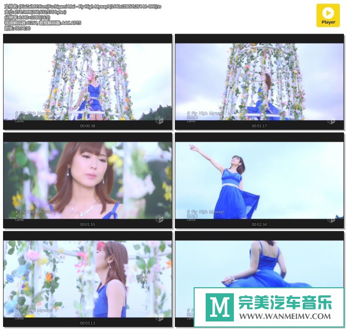 日本高清MV下载-[百度]Fuchigami Mai - Fly High Myway![254M/TS](1)