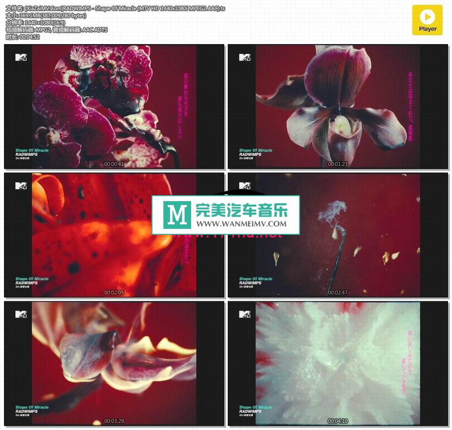 日本高清MV下载-[百度]RADWIMPS - Shape Of Miracle[369M/TS](1)