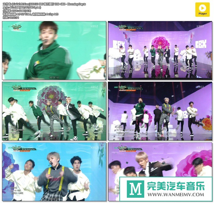 韩国高清现场下载-[百度]180413 EXO-CBX - Blooming Day[465M/TS](1)