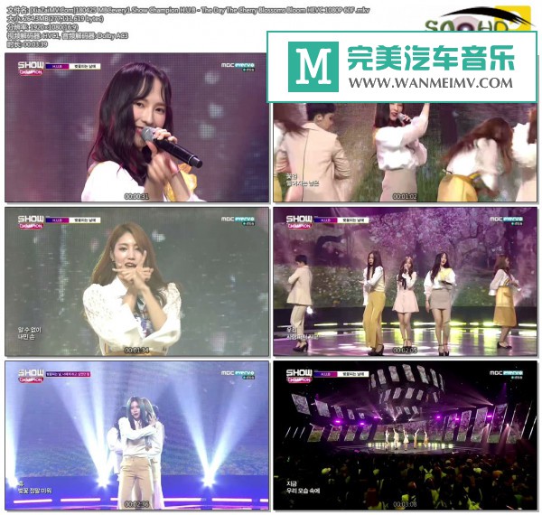 韩国高清现场下载-[百度]180425 H.U.B - The Day The Cherry Blossoms Bloom HEVC 1080P 60F[264M/MKV](1)