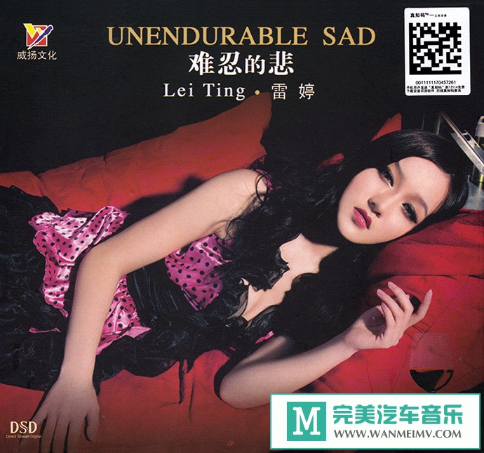 车载MP3音频免费下载-雷婷《难忍的悲(DSD)》[2011/WAV+CUE/CT](1)