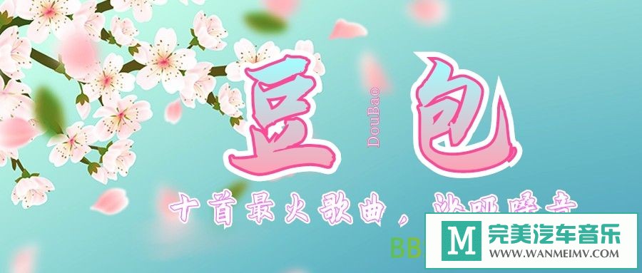 无损音乐 DJ舞曲-豆包《十大最火歌曲-沙哑嗓音》[FLAC/MP3-320K/BD](1)