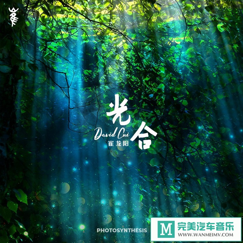 320K MP3 中文曲-崔龙阳《光合》[320K/MP3/2020/CT](1)