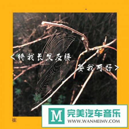 320K MP3 中文曲-崔兰花《待我长发及腰 娶我可好》[320K/MP3/2020/CT](1)