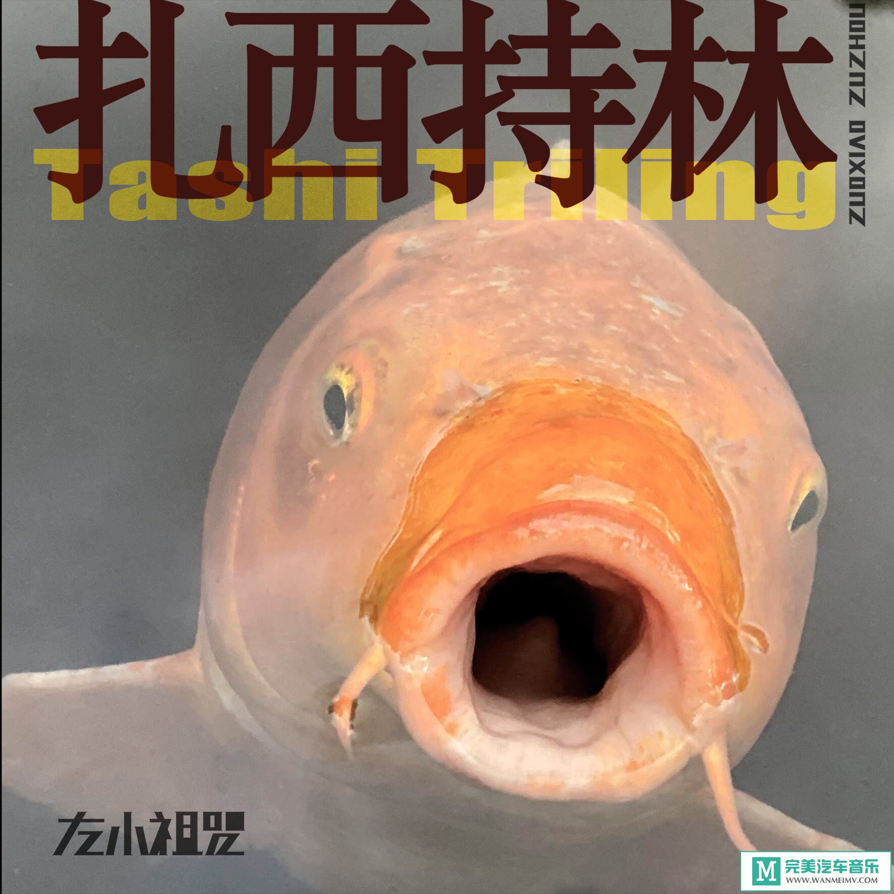 320K MP3 中文曲-左小祖咒《扎西持林》[320K/MP3/2020/CT](1)