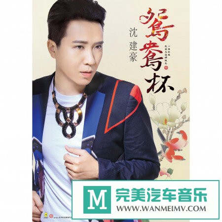 320K MP3 中文曲-沈建豪《鸳鸯杯》[闽南语][320K/MP3/2020/CT](1)