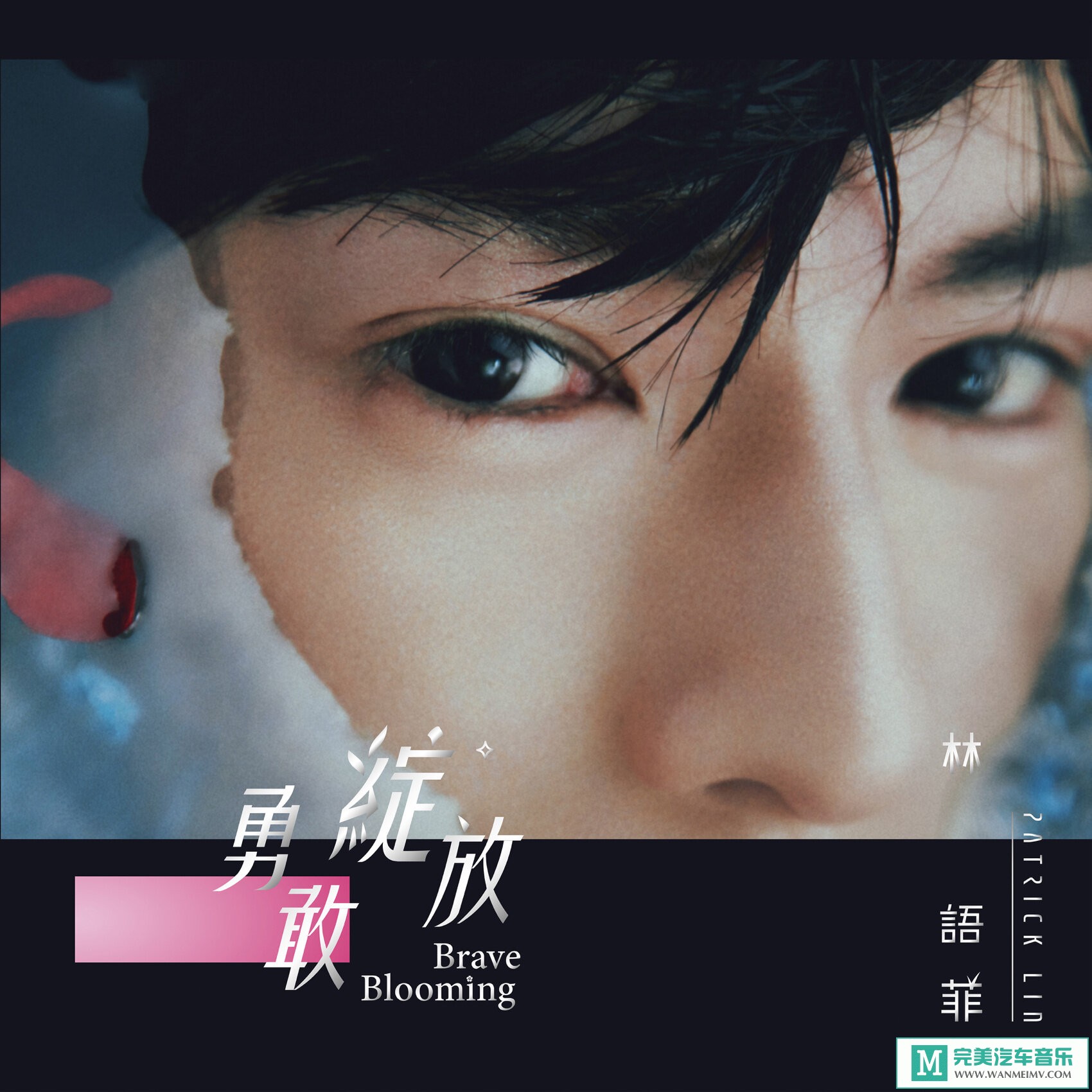320K MP3 中文曲-林语菲《勇敢绽放》[320K/MP3/2020/CT](1)